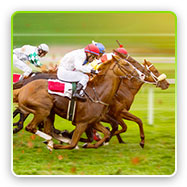 Horse Racing Betting Icon