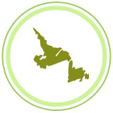 Newfoundland Icon