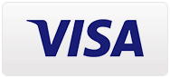 Visa Payment Logo