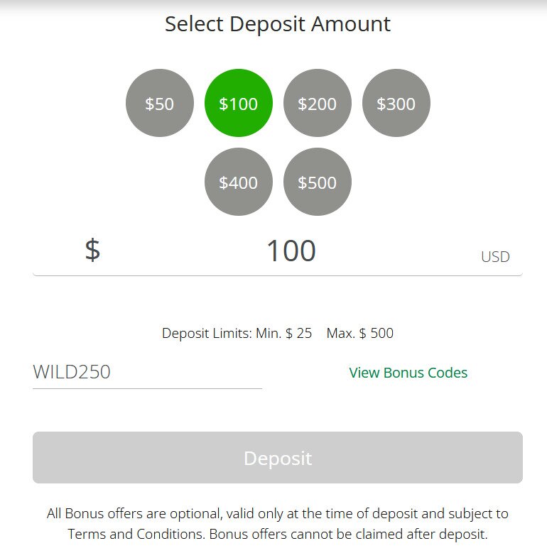 Wild Casino Deposit